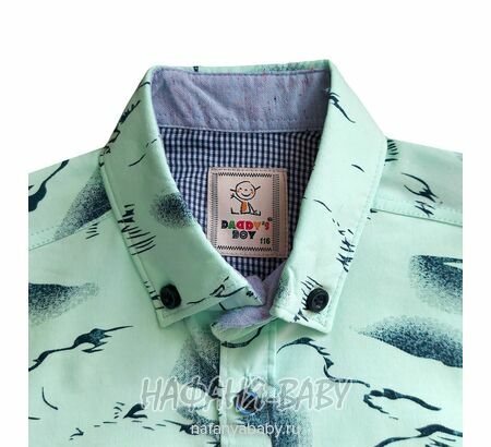 Рубашка с длинным рукавом DADDY BOY арт: 1073, 5-9 лет, цвет св.бирюзовый, оптом Турция