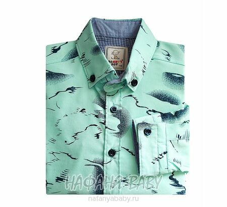 Рубашка с длинным рукавом DADDY BOY арт: 1073-1, 10-15 лет, цвет св.бирюзовый, оптом Турция