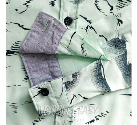 Рубашка с длинным рукавом DADDY BOY арт: 1073-1, 10-15 лет, цвет св.бирюзовый, оптом Турция