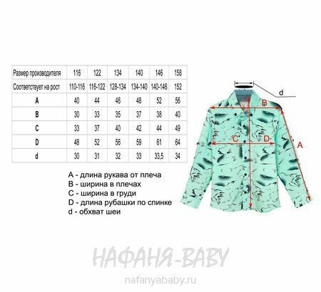 Рубашка с длинным рукавом DADDY BOY арт: 1073-1, 10-15 лет, цвет св.бирюзовый, оптом Турция