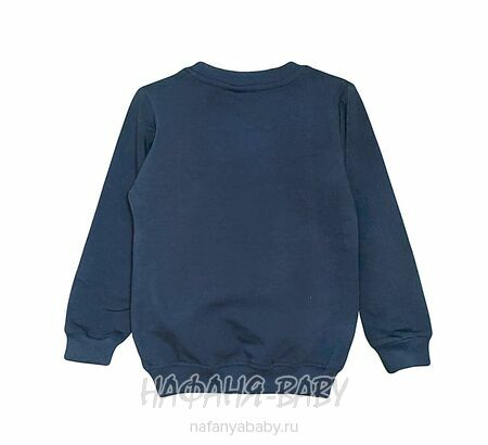 Детский утепленный свитшот ROYA арт: 11052, 1-4 года, цвет темно-синий, оптом Турция