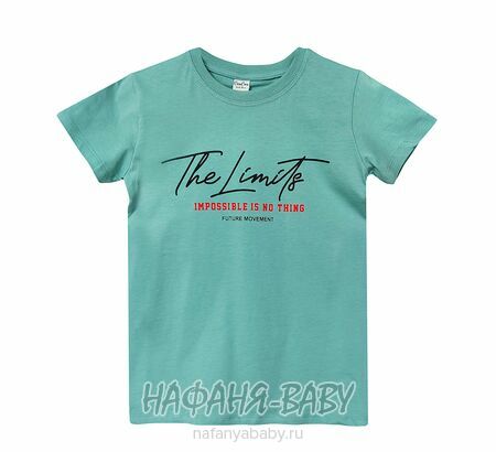 Подростковая футболка Con Con арт. 12089 для мальчика 10-15 лет, оптом Турция