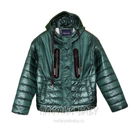 Подростковая демисезонная куртка DELFIN-FREE, купить в интернет магазине Нафаня. арт: 2081.