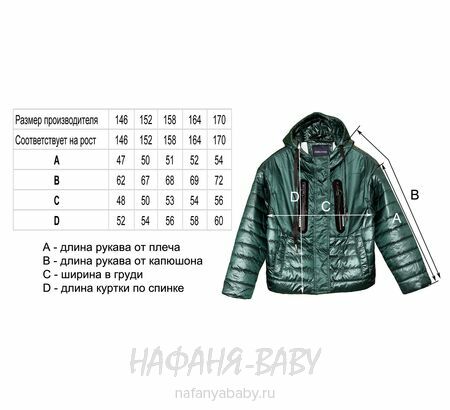 Купить подростковую куртку DELFIN-FREE для девочек, арт: 2081, 10-15 лет | Стильная осенне-весенняя куртка, цвет темно-зеленый