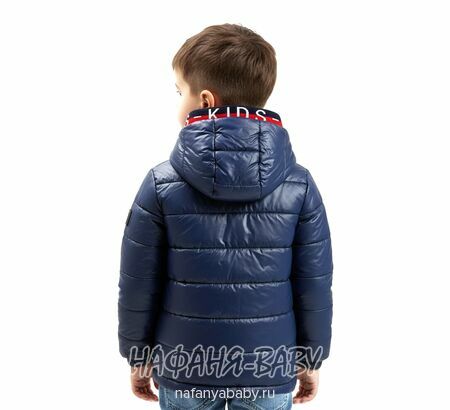 Детская демисезонная куртка DELFIN-FREE арт: 2153, 1-4 года, цвет темно-синий, оптом Китай (Пекин)