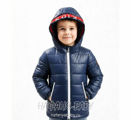 Детская демисезонная куртка DELFIN-FREE арт: 2153, 1-4 года, цвет темно-синий, оптом Китай (Пекин)