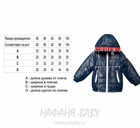 Детская демисезонная куртка DELFIN-FREE арт: 2153, 1-4 года, цвет темно-синий, оптом Китай (Пекин)