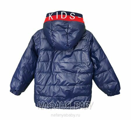 Детская демисезонная куртка DELFIN-FREE арт: 2153, 1-4 года, цвет темно-синий, оптом Китай (Пекин)