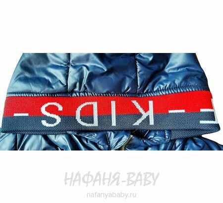 Детская демисезонная куртка DELFIN-FREE арт: 2153, 1-4 года, цвет темно-синий, оптом Китай (Пекин)