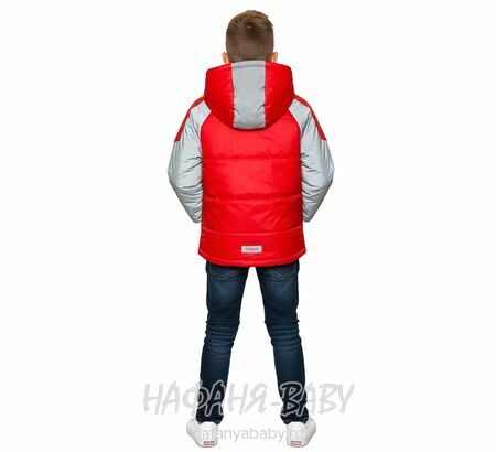 Купить детскую демисезонную куртку Delfin Free для мальчика, арт: 2158, 1-4 года, 5-9 лет, оптом, цвет красный