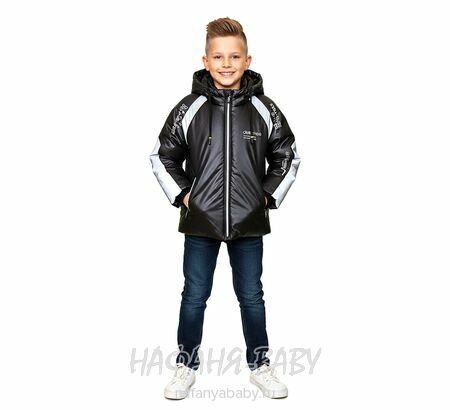 Детская демисезонная куртка DELFIN-FREE, купить в интернет магазине Нафаня. арт: 2158, цвет черный