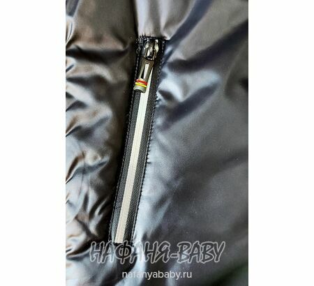 Детская демисезонная куртка DELFIN-FREE, купить в интернет магазине Нафаня. арт: 2158, цвет черный