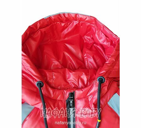 Детская демисезонная куртка DELFIN-FREE, купить в интернет магазине Нафаня. арт: 2158, цвет красный
