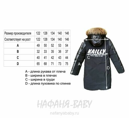 Зимний пуховик DELFIN-FREE, купить в интернет магазине Нафаня. арт: 2209, цвет темно-синий