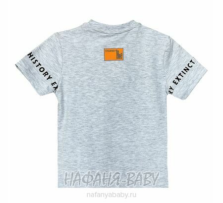 Детская футболка ALG арт: 222707, 1-4 года, 5-9 лет, цвет серый меланж, оптом Турция