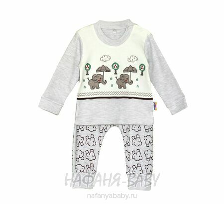 Детский костюм (кофта+брюки) BAYBAYLIFE арт: 2270, 0-12 мес, оптом Турция