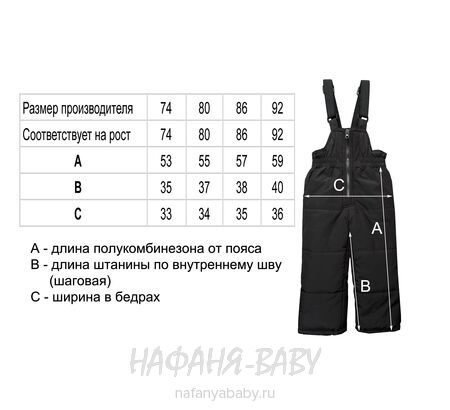 Зимний костюм DELFIN FREE, купить в интернет магазине Нафаня. арт: 2290.