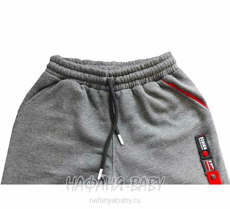 Подростковые утепленные брюки ILDES арт: 4082, 10-15 лет, цвет серый, оптом Турция