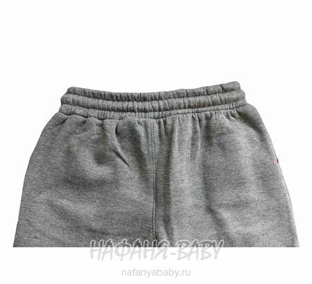 Утепленные брюки для мальчика ILDES арт: 4082, 10-15 лет, цвет серый, оптом Турция