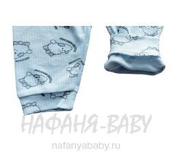 Детский костюм (кофта + брючки) CRN арт. 4705, от 1 до 3 лет, цвет голубой, оптом Турция