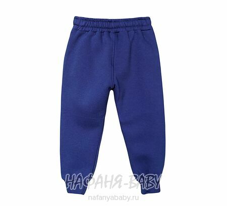 Трикотажные брюки с начесом ILDES арт: 4936, поштучно, цвет темно-синий