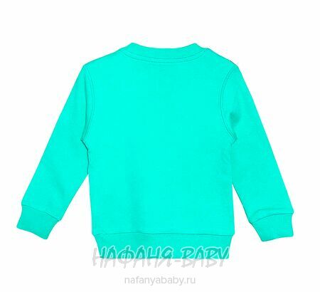 Детский свитшот UNRULY арт: 5650 для мальчика 1-3 лет, цвет бирюзовый, оптом Турция