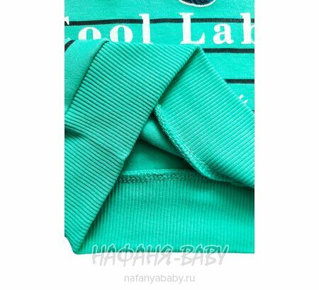 Детский свитшот UNRULY арт: 5650 для мальчика 1-3 лет, цвет бирюзовый, оптом Турция