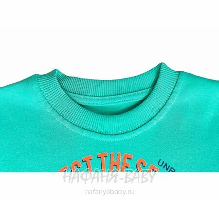 Свитшот ЧЕРЕПАХА UNRULY арт: 5816 для мальчика 2-5 лет, цвет бирюзовый, оптом Турция