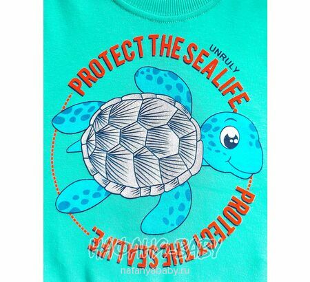 Свитшот ЧЕРЕПАХА UNRULY арт: 5816 для мальчика 2-5 лет, цвет бирюзовый, оптом Турция