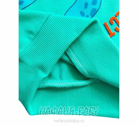 Свитшот ЧЕРЕПАХА UNRULY арт: 5816 для мальчика 2-5 лет, цвет бирюзовый, оптом Турция