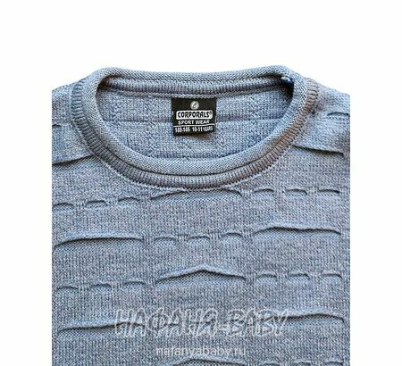 Подростковый вязанный джемпер C.R.P. арт: 6235, 10-15 лет, цвет серо-голубой, оптом Турция