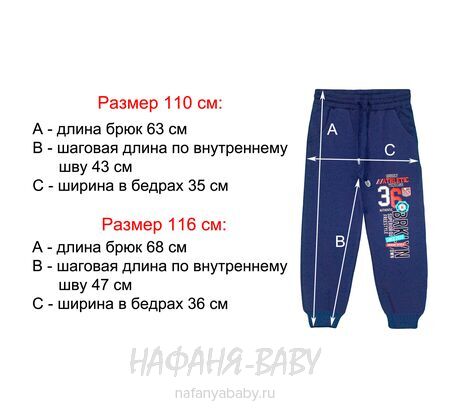 Утепленные брюки UNRULY арт: 6854, 5-9 лет, цвет темно-синий, оптом Турция