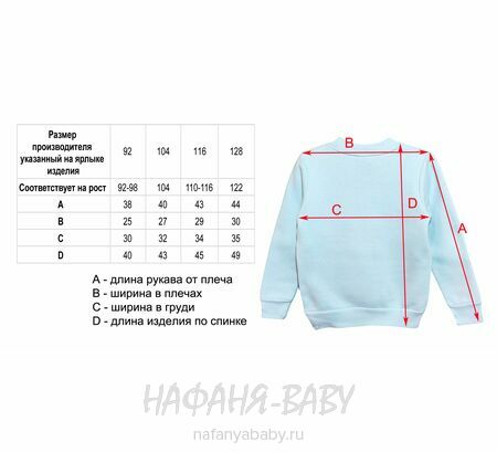 Свитшот для девочки NARMINI Турция, утепленный футер 3 нитки, арт: 8016, 2-8 лет,цвет голубой, оптом Турция