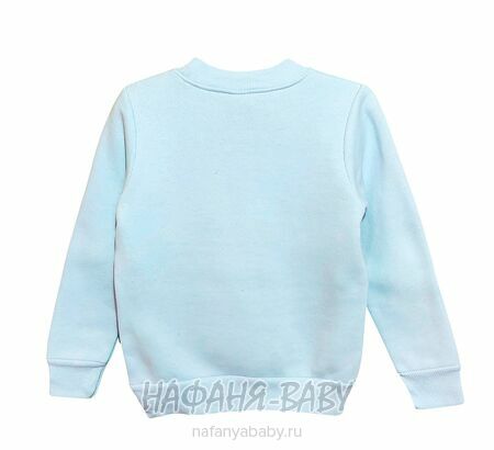 Свитшот для девочки NARMINI Турция, утепленный футер 3 нитки, арт: 8016, 2-8 лет,цвет голубой, оптом Турция
