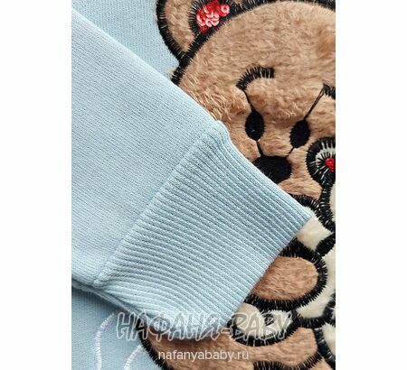 Свитшот для девочки NARMINI: утепленный футер 3 нитки, арт: 8016, 2-8 лет, цвет голубой, Турция