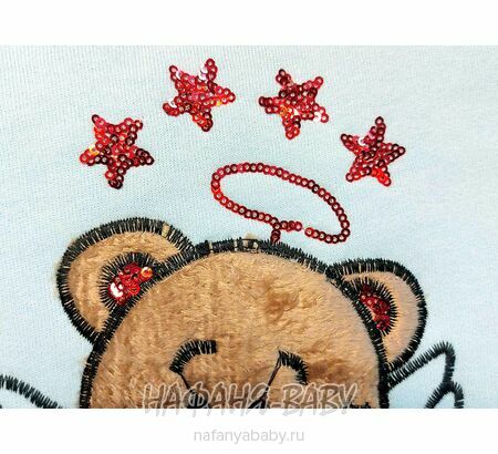 Свитшот для девочки NARMINI Турция, утепленный футер 3 нитки, арт: 8016, 2-8 лет,цвет голубой, оптом Турция