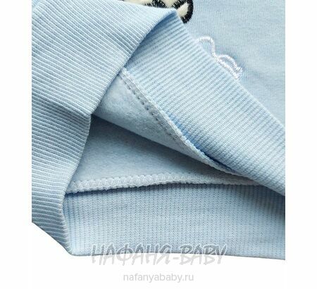 Свитшот для девочки NARMINI: утепленный футер 3 нитки, арт: 8016, 2-8 лет, цвет голубой, Турция