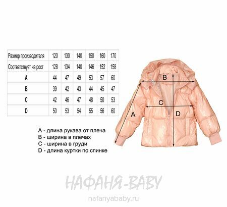 Демисезонная куртка L.Z.W.B.G., купить в интернет магазине Нафаня. арт: 9886.