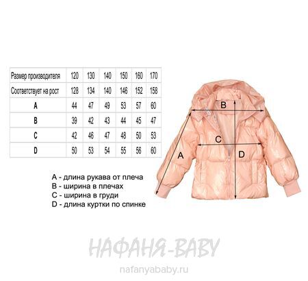 Детская демисезонная куртка L.Z.W.B.G. арт: 9886, 10-15 лет, 5-9 лет, цвет пыльная роза, оптом Китай (Пекин)