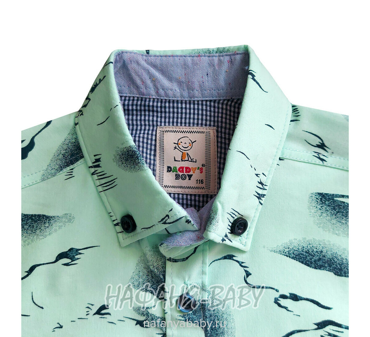 Рубашка с длинным рукавом DADDY BOY арт: 1073, 5-9 лет, цвет св.бирюзовый, оптом Турция
