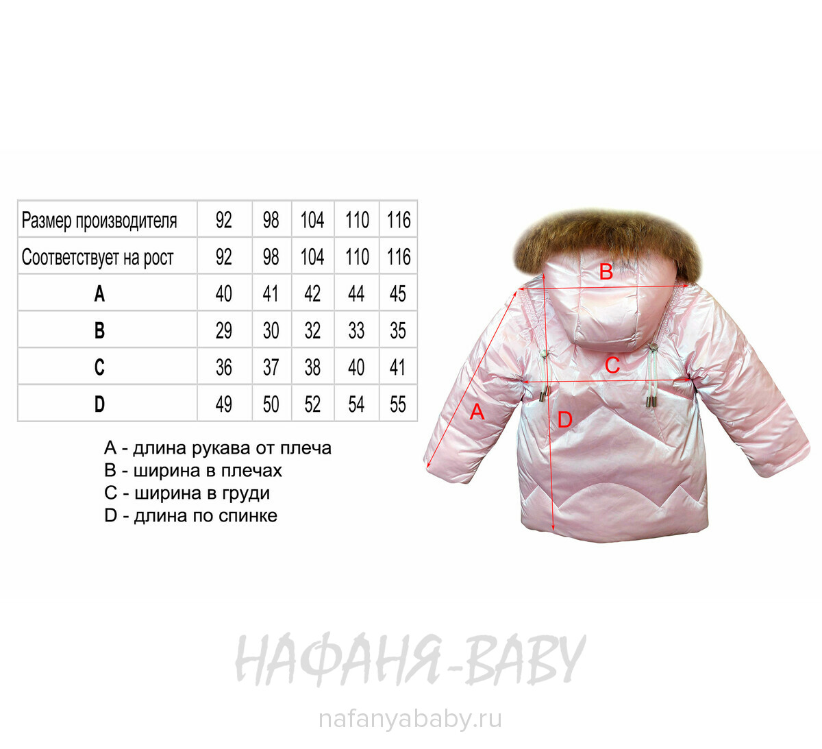 Зимний костюм DELFIN FREE, купить в интернет магазине Нафаня. арт: 2281.