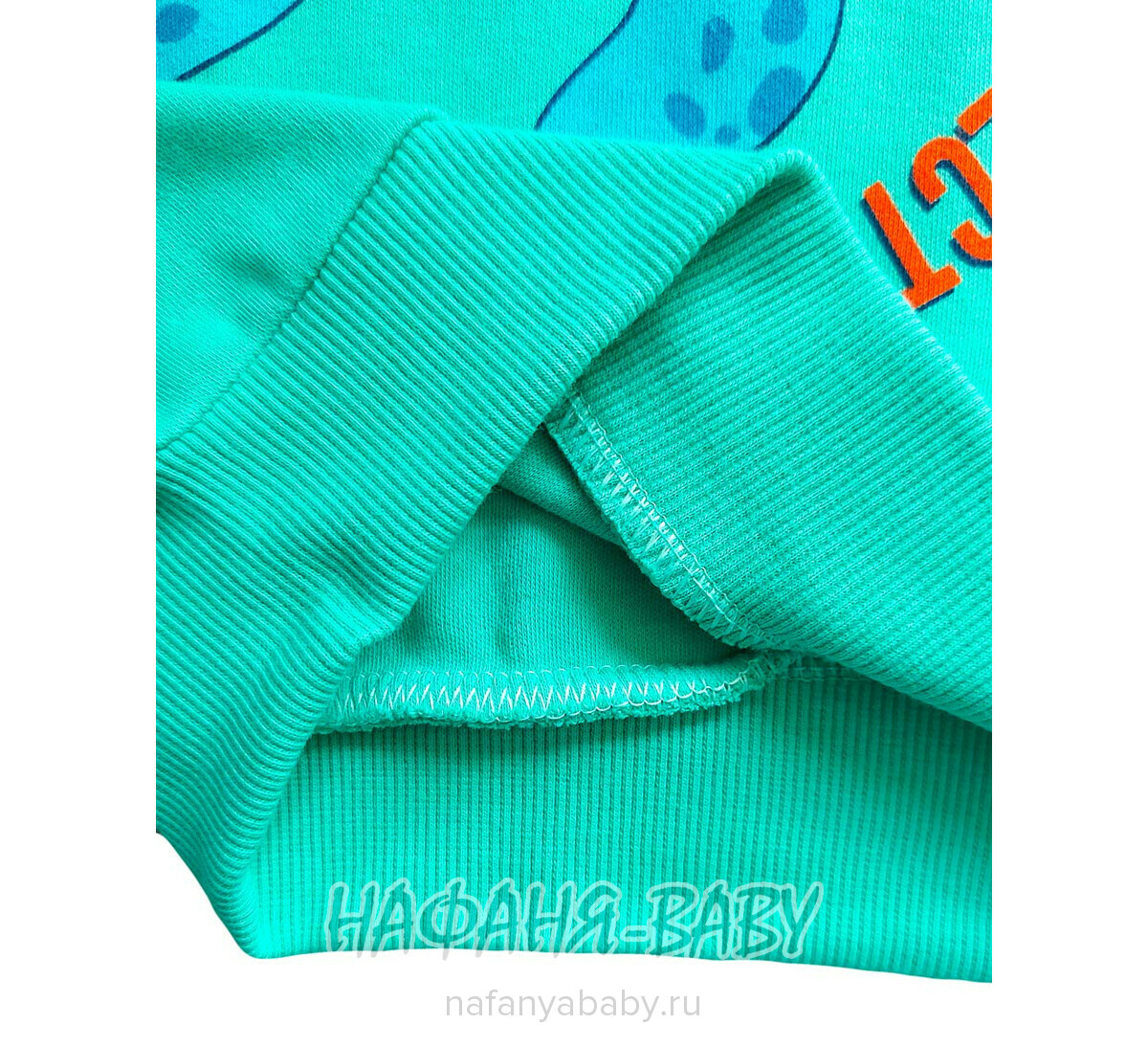 Свитшот ЧЕРЕПАХА UNRULY арт: 5816 для мальчика 2-5 лет, цвет бирюзовый, оптом Турция