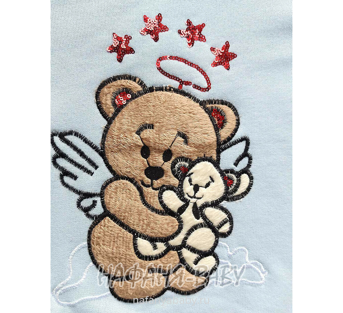 Свитшот для девочки NARMINI Турция, утепленный футер 3 нитки, арт: 8016, 2-8 лет,цвет голубой, оптом Турция