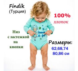 Боди